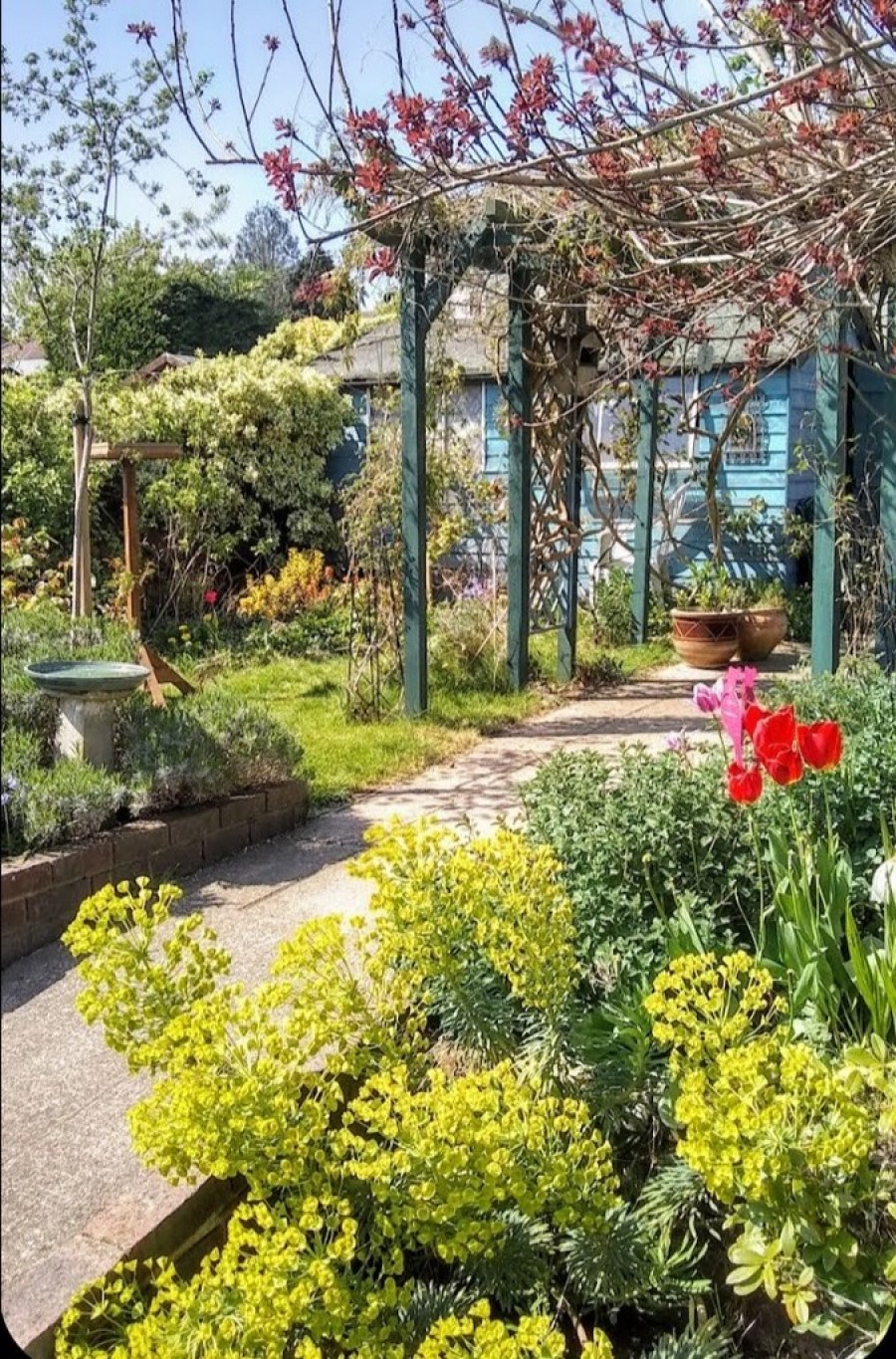 Images for May Avenue, Orpington EAID:11e514c9f7e99906cb8dd0ceb0e9edcf BID:1