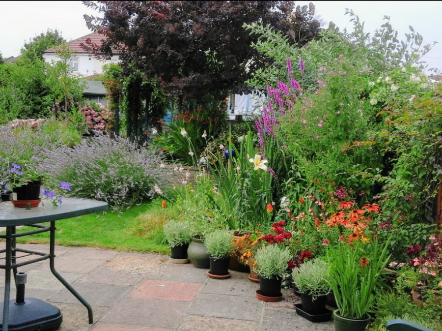 Images for May Avenue, Orpington EAID:11e514c9f7e99906cb8dd0ceb0e9edcf BID:1