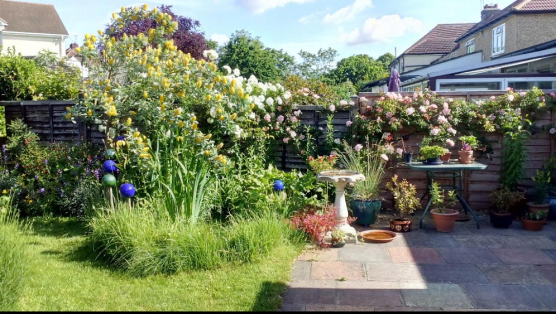Images for May Avenue, Orpington EAID:11e514c9f7e99906cb8dd0ceb0e9edcf BID:1