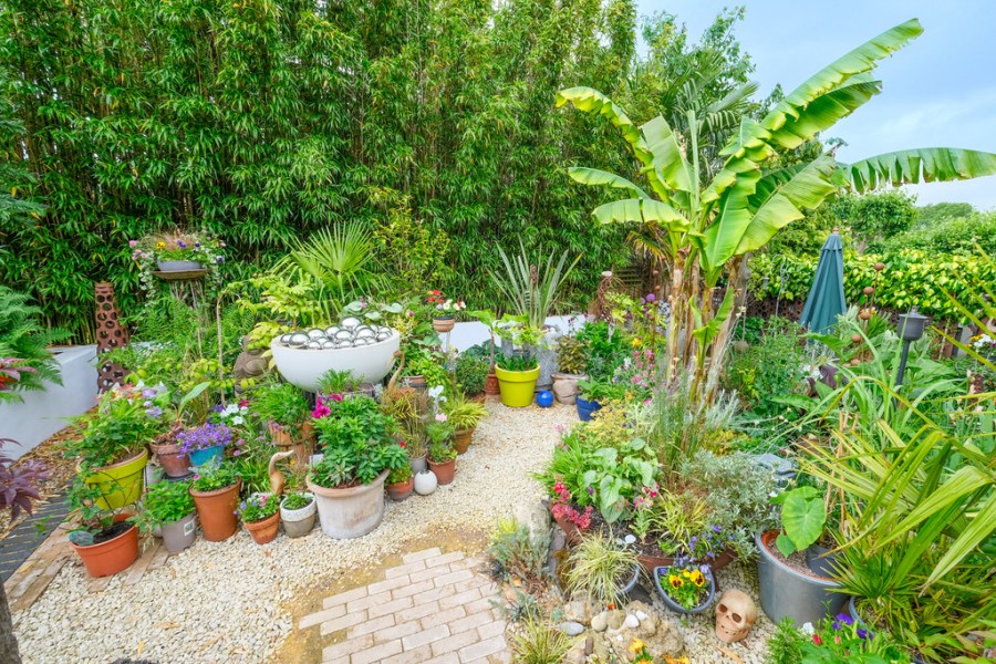 Images for Woodside, Orpington EAID:11e514c9f7e99906cb8dd0ceb0e9edcf BID:1