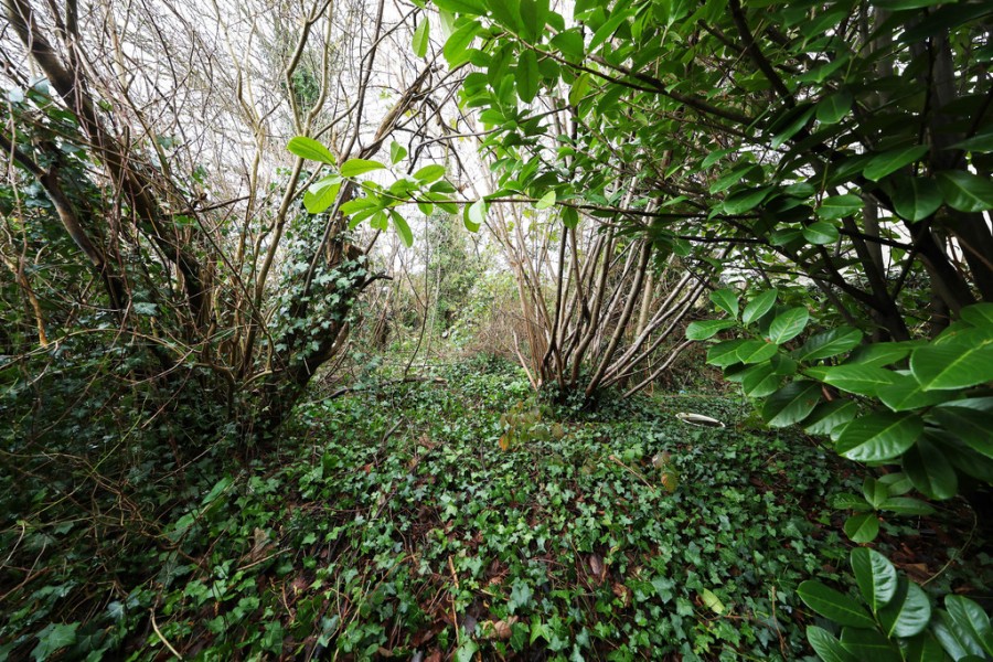 Images for Marion Crescent, Orpington EAID:11e514c9f7e99906cb8dd0ceb0e9edcf BID:1